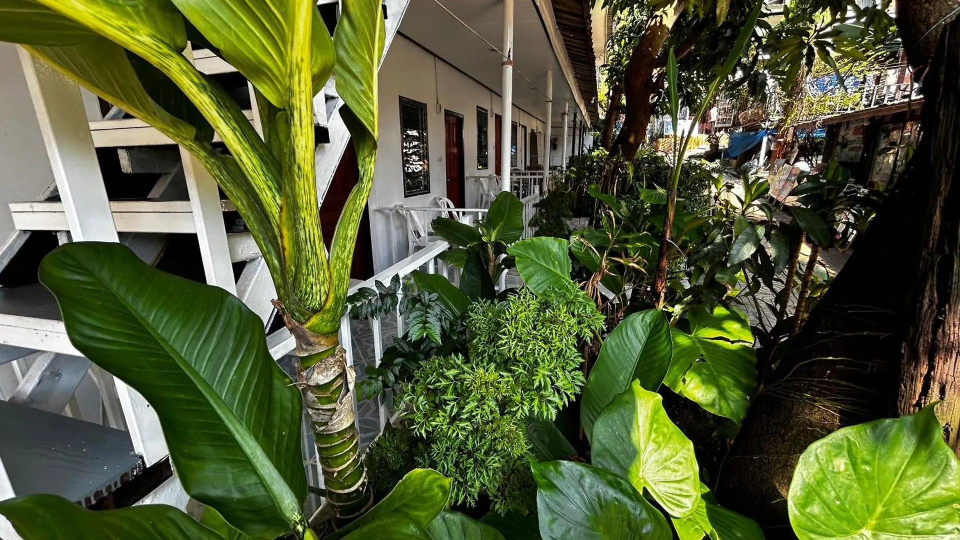 Coco'S Guest House Phi Phi Don