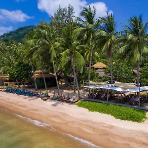 Palm Leaf Koh Tao